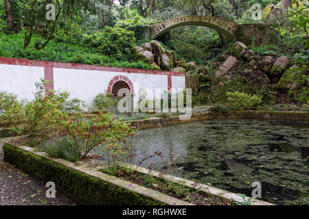 La Pena Parc qui entoure le palais de Pena à Sintra, Portugal Banque D'Images