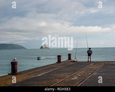 Pêcheur, Tologa Bay Wharf, East Cape, Île du Nord, Nouvelle-Zélande Banque D'Images