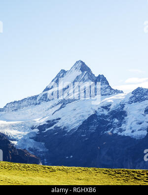 Vue pittoresque sur les Alpes Suisses dans le lac de Bachalp montagnes. Des sommets enneigés du Wetterhorn, Mittelhorn et Rosenhorn sur arrière-plan. La vallée de Grindelwald, Suisse. Photographie de paysage Banque D'Images