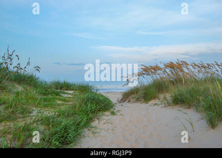 Chemin de la plage à travers les dunes de sable près de Sandbridge Beach de Virginia Beach, Virginie Banque D'Images