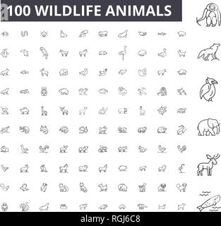 Les animaux de la faune, 100 icônes ligne modifiable vector set, collection. La faune Les animaux contour noir illustrations, signes, symboles Illustration de Vecteur