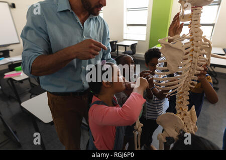 Vue latérale d'enseignant expliquant en modèle de squelette de classe de l'école élémentaire Banque D'Images
