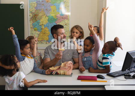 Vue avant du curieux schoolkids mains sensibilisation autour de l'enseignement professeur d'anatomie à 24 en classe d'école primaire Banque D'Images