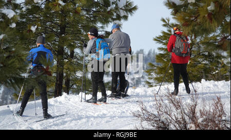 Un groupe de skieurs de fond s'arrêter sur une piste à Echo Ridge pour profiter de la vue spectaculaire sur la chaîne des Cascades. Banque D'Images