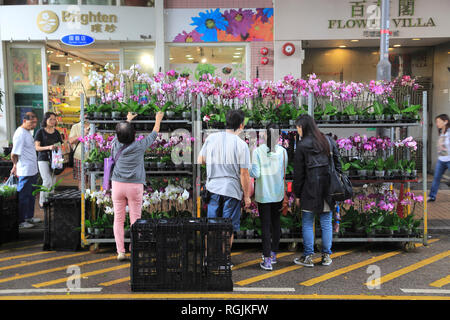 Flower Market Road, Mong Kok ou Mongkok, Kowloon, Hong Kong, Chine, Asie Banque D'Images