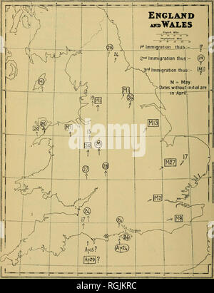 . Bulletin of the British Ornithologists' Club. Les oiseaux. 118 TERRE-EAIL.. Veuillez noter que ces images sont extraites de la page numérisée des images qui peuvent avoir été retouchées numériquement pour plus de lisibilité - coloration et l'aspect de ces illustrations ne peut pas parfaitement ressembler à l'œuvre originale.. British Ornithologists' Club. Londres : le Club Banque D'Images