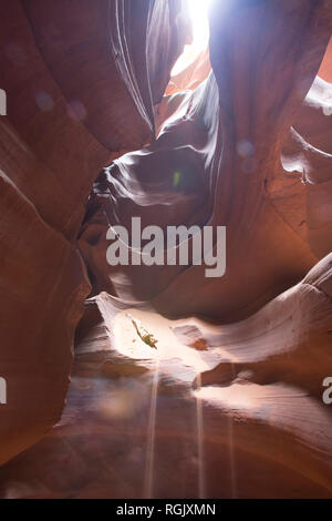 USA, Arizona, Page, Antelope Canyon Banque D'Images