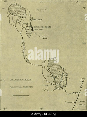 . Bulletin of the British Museum (Natural History). 35° DE NOUVELLES ESPÈCES DE TILAPIA EN AFRIQUE DE L'Est de la rivière Pangani et Tilapia tilapia du lac Jipe ; le lac Victoria et Congo Belge espèce étrangère à la système de Pangani avait été introduite dans d'autres étangs à Korogwe. Lac Jipe est connecté avec la rivière Pangani ou Ruvu en saison humide à travers une série de marécages. En 1951, le lac était d'environ 12 milles de long sur un et demi de milles de large, mais a été dit d'être l'envasement et la diffusion ; c'était un lac peu profond, à seulement quelques pieds de profondeur sur une grande partie de son domaine, avec de grandes parcelles de plantes de l'eau, Poiamogeton et Naj Banque D'Images