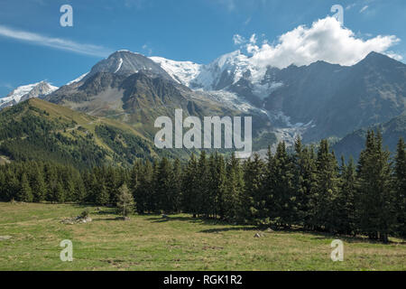 Vue sur le massif du Mont Blanc, les glaciers et les forêts à la recherche à travers les champs d'herbe au premier plan Banque D'Images