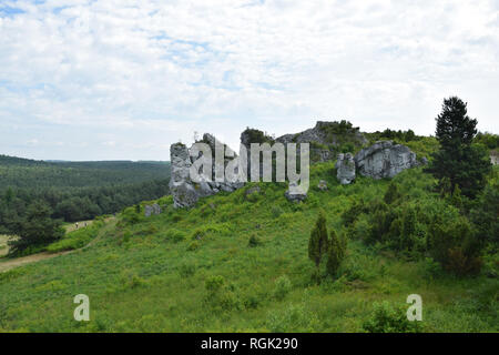 Rock formation à Cracovie Czestochowa Télécharger. Highland Jurassique polonais. Banque D'Images