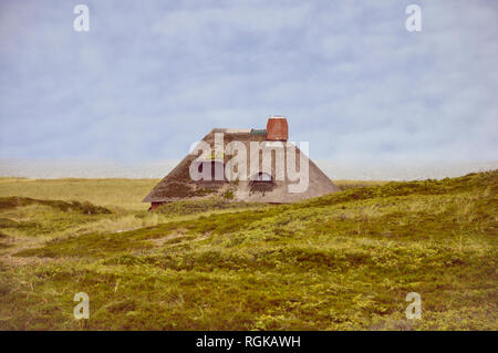 Thached roof en dunes couvert de mousse par jziprian style vintage Banque D'Images