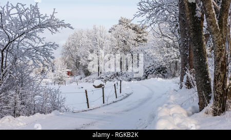 Une route de gravier de neige dans les régions rurales d'enroulement paysage d'hiver Banque D'Images