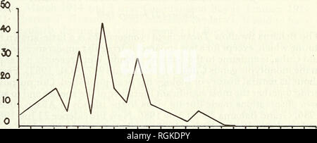 . Bulletin of the British Ornithologists' Club. Les oiseaux. un *L35 5 +36363138394" D4 4l 43 + 4 45 46 47 46 56 51 4* 2 3 4 SSL JE AUG 6EP OCT NOV DÉC JAN. Semaine 5 6 7 8 9 U iO ft 13 14 15 16 II U fl 20 21 21 23 24-15 26 27 K tt 30 Feb Mar Apr May UUM HAy Figure 3. Nombre moyen d'Zonibyx-chested modestus dotterels enregistré par semaines (périodes de 7 jours consécutifs) 1972-1974 dans les îles Falkland. Le 20 mai 1972 Falkland et 9 à l'île de West Point, West Falkland le 9 mai 1973. Conclusion L'apparition de troupeaux à peu près au même moment chaque année en Août/ Septembre, l'accumulation rapide des troupeaux en mars/avril Banque D'Images