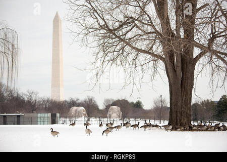 La zone autour du bassin et de l'ouest parc Potomac au lendemain de Washington DC's blizzard de janvier 2016, surnommé par les locaux comme Snowzilla. Banque D'Images