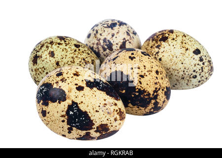 Oeufs de caille isolés. Grande collection d'oeufs de cailles isolé sur un fond blanc. Concept de vie sain Banque D'Images