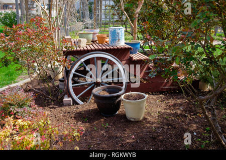 Table de pique-nique en bois rouge rustique à l'extérieur dans le jardin avec une vieille roue de chariot à côté & divers pots de fleurs sur la table et bancs. Les arbres et arbustes. Banque D'Images