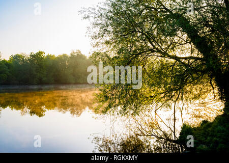 Scène de rivière. Tôt le matin, la brume, la lumière du soleil et arbres au bord de la rivière Trent, bretagne campagne, England, UK Banque D'Images