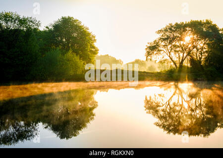 Scène de rivière au printemps. La lumière du soleil tôt le matin, le brouillard et les arbres des rives sur la rivière Trent en mai. Colwick Country Park, Lancashire, England, UK Banque D'Images