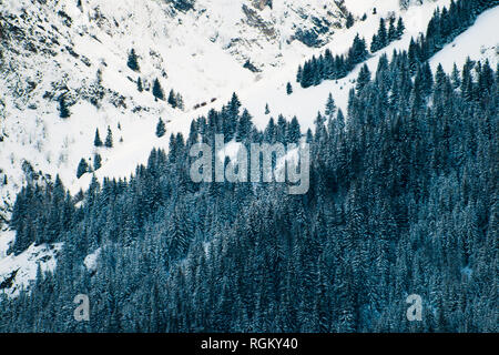 En contraste, texturé de loin sur le côté de la forêt de froid, la neige, l'hiver, falaises rocheuses escarpées des montagnes en arrière-plan. Banque D'Images