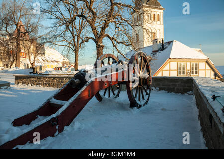 Matin d'hiver au Jardin du roi danois dans la vieille ville de Tallinn, Estonie. Banque D'Images