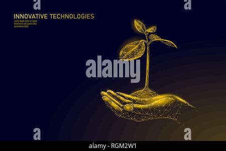 Low poly hands holding golden tree sprout. La prospérité de la richesse croissante du revenu lucratif économiser de l'argent. Concept d'entreprise de l'économie croissance triangle polygonale 3D Illustration de Vecteur