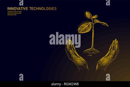 Low poly hands holding golden tree sprout. La prospérité de la richesse croissante du revenu lucratif économiser de l'argent. Concept d'entreprise de l'économie croissance triangle polygonale 3D Illustration de Vecteur