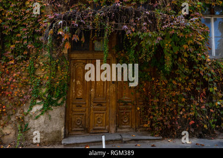 Porte dans vieille maison couverte de feuilles de vigne sauvage d'automne à Tbilissi Banque D'Images