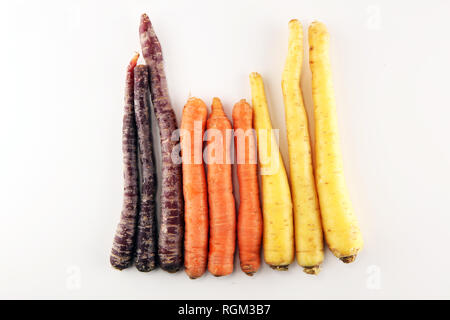 Pile de carottes. Caisse de mélange de couleurs récoltés sur la table carotte Banque D'Images