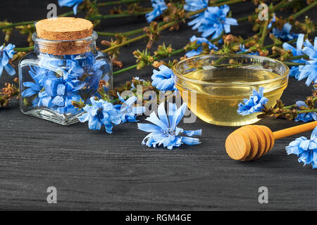 Chicorée (Cichorium intybus) herb en bouteille. La médecine alternative concept sur une table en bois noir (selective focus). Banque D'Images