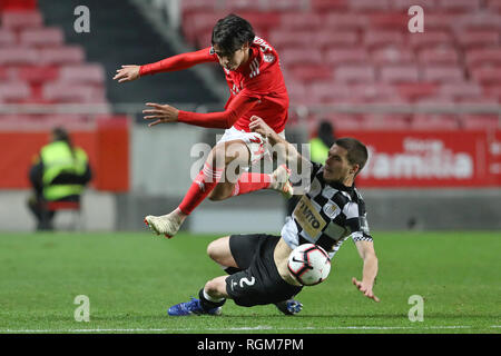 João Félix de SL Benfica (L) et Gonçalo Cardoso de Boavista FC (R) sont vus en action au cours de la Ligue n° 2018/19 match de football entre SL Benfica vs FC Boavista. (Score final ; 5:1 SL Benfica Boavista FC) Banque D'Images