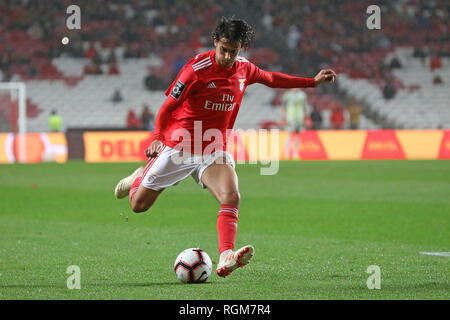 João Félix de SL Benfica vu en action lors de la Ligue n° 2018/19 match de football entre SL Benfica vs FC Boavista. (Score final ; 5:1 SL Benfica Boavista FC) Banque D'Images