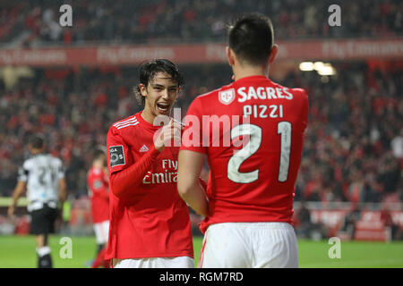 João Félix et Sagres Pizzi de SL Benfica sont vu célébrer au cours de la Ligue n° 2018/19 match de football entre SL Benfica vs FC Boavista. (Score final ; 5:1 SL Benfica Boavista FC) Banque D'Images