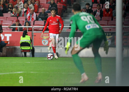 João Félix de SL Benfica vu en action lors de la Ligue n° 2018/19 match de football entre SL Benfica vs FC Boavista. (Score final ; 5:1 SL Benfica Boavista FC) Banque D'Images