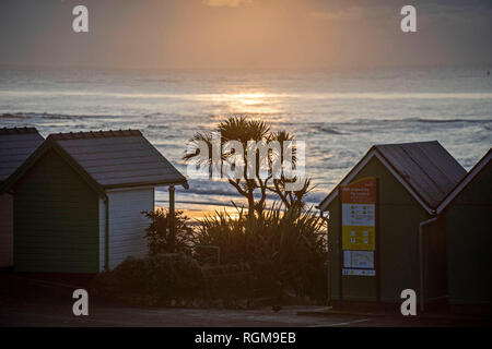 Marmonne, Swansea, Royaume-Uni. 30 janvier, 2019. Lever du soleil sur les toits couverts de givre beach hut à Langland Bay aujourd'hui près de Swansea sur le début d'un hiver glacial matin. Credit : Phil Rees/Alamy Live News Banque D'Images