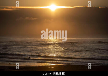 Marmonne, Swansea, Royaume-Uni. 30 janvier, 2019. Les chefs d'un surfer sur les vagues pendant le lever du soleil à Langland Bay aujourd'hui près de Swansea sur le début d'un hiver glacial matin. Credit : Phil Rees/Alamy Live News Banque D'Images