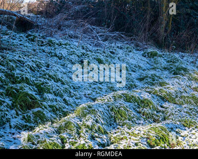 Braintree (Royaume-Uni). 30Th Jan, 2019. Soleil d'hiver brille sur la neige la nuit qui était tombée sur Grand Bardfield Braintree Essex UK Crédit : William Edwards/Alamy Live News Banque D'Images