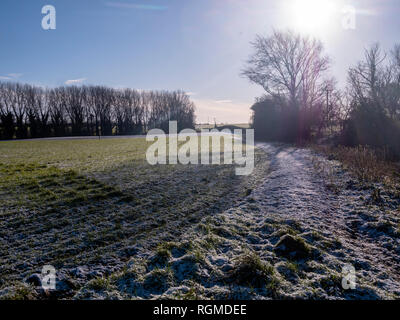 Braintree (Royaume-Uni). 30Th Jan, 2019. Soleil d'hiver brille sur la neige la nuit qui était tombée sur Grand Bardfield Braintree Essex UK Crédit : William Edwards/Alamy Live News Banque D'Images