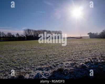 Braintree (Royaume-Uni). 30Th Jan, 2019. Soleil d'hiver brille sur la neige la nuit qui était tombée sur Grand Bardfield Braintree Essex UK Crédit : William Edwards/Alamy Live News Banque D'Images