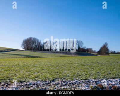 Braintree (Royaume-Uni). 30Th Jan, 2019. Soleil d'hiver brille sur la neige la nuit qui était tombée sur Grand Bardfield Braintree Essex UK Crédit : William Edwards/Alamy Live News Banque D'Images