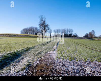 Braintree (Royaume-Uni). 30Th Jan, 2019. Soleil d'hiver brille sur la neige la nuit qui était tombée sur Grand Bardfield Braintree Essex UK Crédit : William Edwards/Alamy Live News Banque D'Images