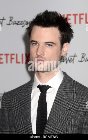 Los Angeles, CA, USA. 28 janvier, 2019. Tom Sturridge aux arrivées de BUZZSAW VELOURS Premiere, le Grauman's Egyptian Theatre, Los Angeles, CA, le 28 janvier 2019. Credit : Priscilla Grant/Everett Collection/Alamy Live News Banque D'Images