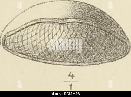 . Bulletin international. Curriculum vitae des travaux présentés. La science, la médecine. . Veuillez noter que ces images sont extraites de la page numérisée des images qui peuvent avoir été retouchées numériquement pour plus de lisibilité - coloration et l'aspect de ces illustrations ne peut pas parfaitement ressembler à l'œuvre originale.. Ceská akademie ved un umení. Prague : Académie des sciences Banque D'Images