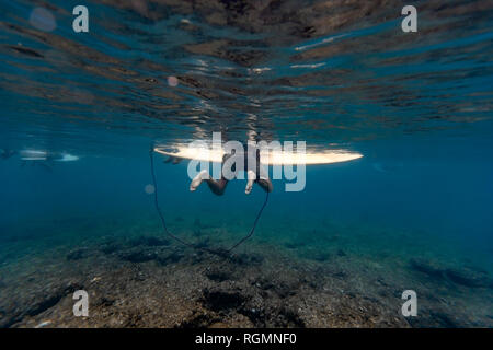 Maledives, sous l'eau voir de surfeur sur surfboard, underwater Banque D'Images