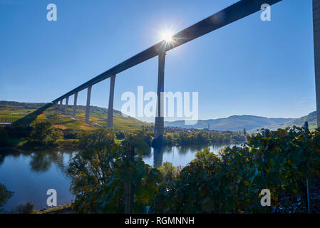 Allemagne, Rhénanie-Palatinat, Bernkastel-Wittlich, Zeltingen-Rachtig, Uerzig, Moselle, Moselle Haut Bridge Banque D'Images