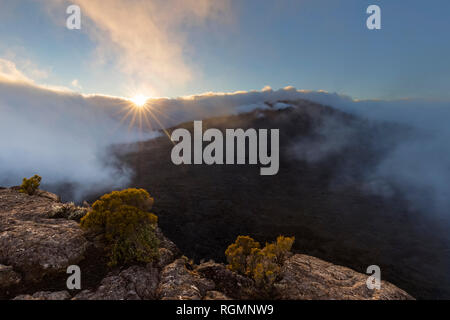 Le Parc National de la réunion, volcan bouclier, Piton de la Fournaise, vue du Pas de Bellecombe, sunrise Banque D'Images