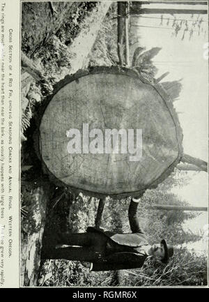 . Bulletin. Les forêts et la foresterie -- United States. B Jl (W 7 D O Â ¢ â-¦. cn n&gt ; <n CO ^ m H CO -1- 3 m x O 33 CFQ <D o s z â o Q.. Veuillez noter que ces images sont extraites de la page numérisée des images qui peuvent avoir été retouchées numériquement pour plus de lisibilité - coloration et l'aspect de ces illustrations ne peut pas parfaitement ressembler à l'œuvre originale.. United States. Division des forêts. Washington : G. P. O. Banque D'Images