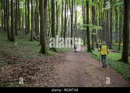 Germany, Mecklenburg-Western Pomerania, Ruegen, Parc National de Jasmund, les randonneurs en forêt de hêtres sur sentier de randonnée Banque D'Images