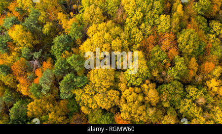 Allemagne, Hesse, Oestrich-Winkel, Rheingau, vue aérienne à l'automne Banque D'Images