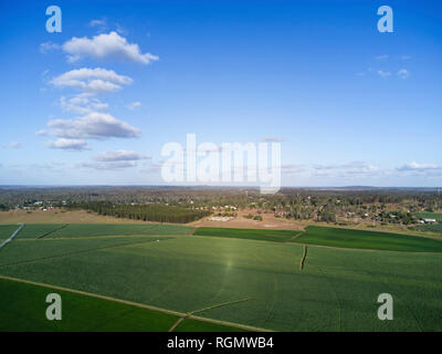 Vue aérienne de champs de canne à sucre irriguée près de Gin Gin Queensland Australie Banque D'Images