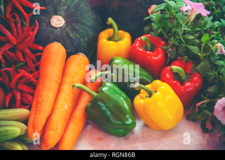 Diverses sortes de légumes, exposées dans les magasins Banque D'Images